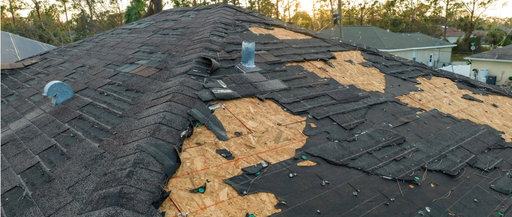 roof leak repair service