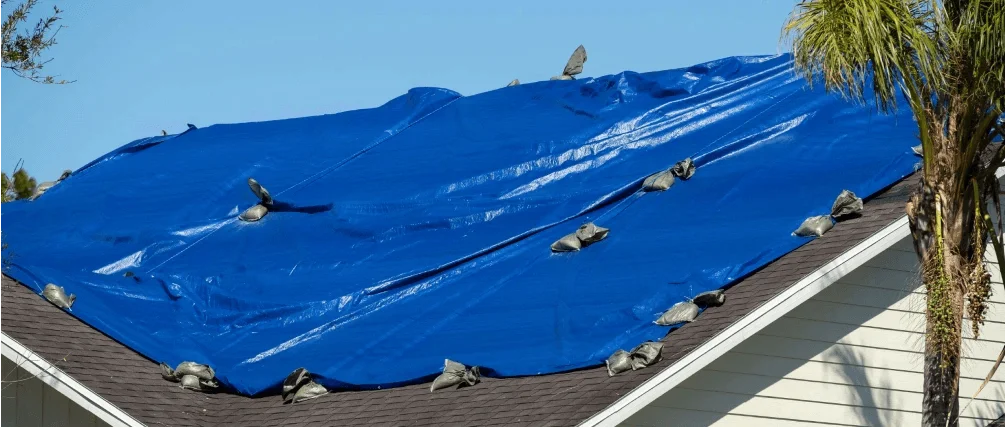 roof tarping service